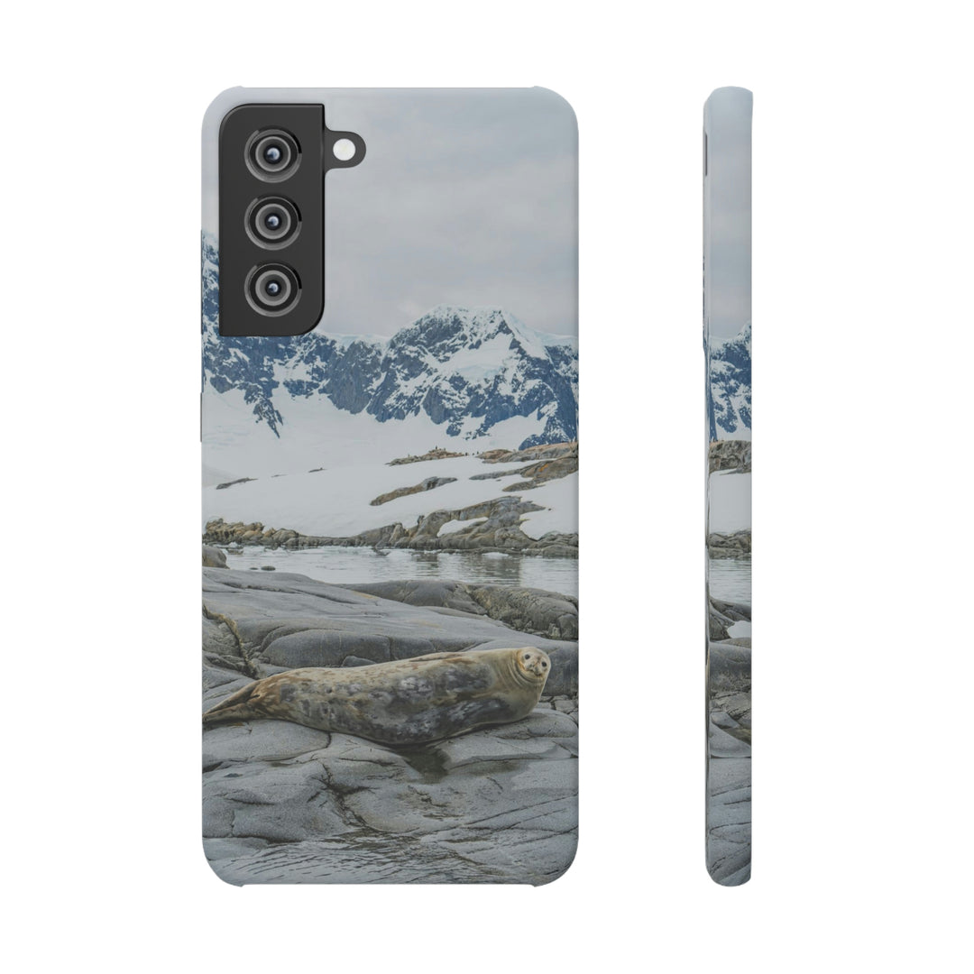 Weddell Relaxing - Phone Case