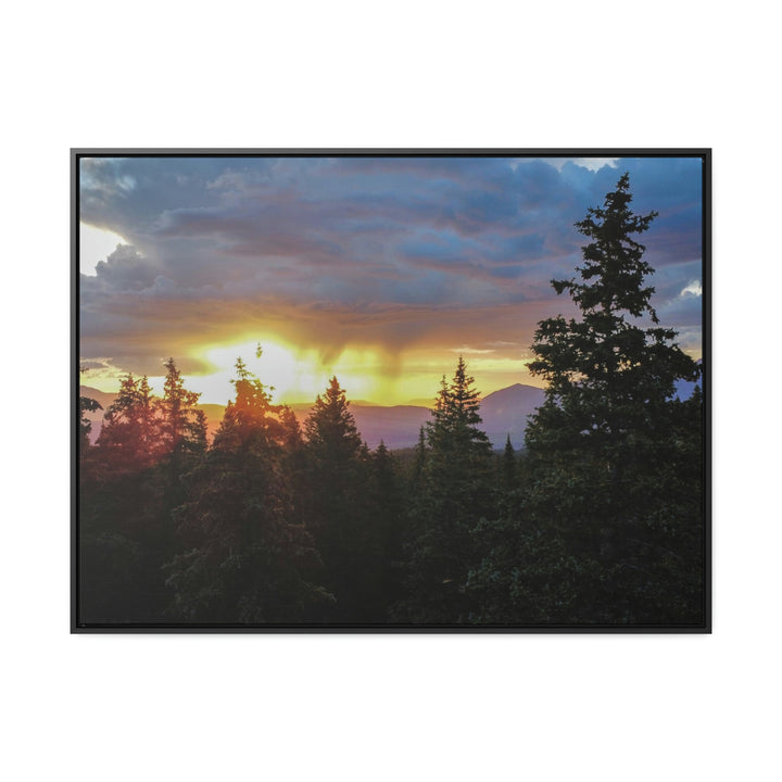 Rainy Sunset Through the Trees - Canvas with Frame