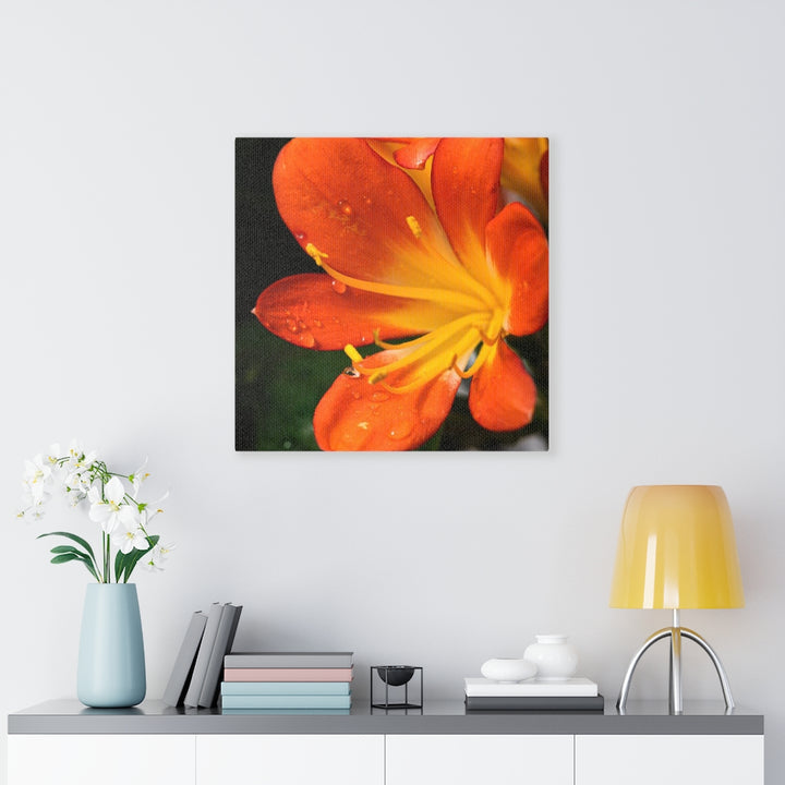 Bright Bush Lily - Canvas