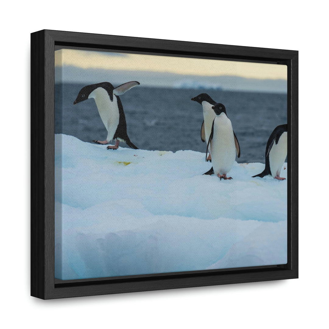 Penguin Dance - Canvas with Frame