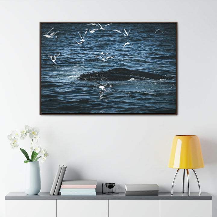 Humpback Hello - Canvas with Frame