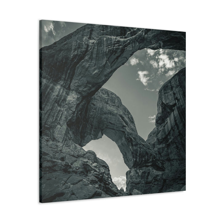 Natural Frames Part 4 in Black and White - Canvas