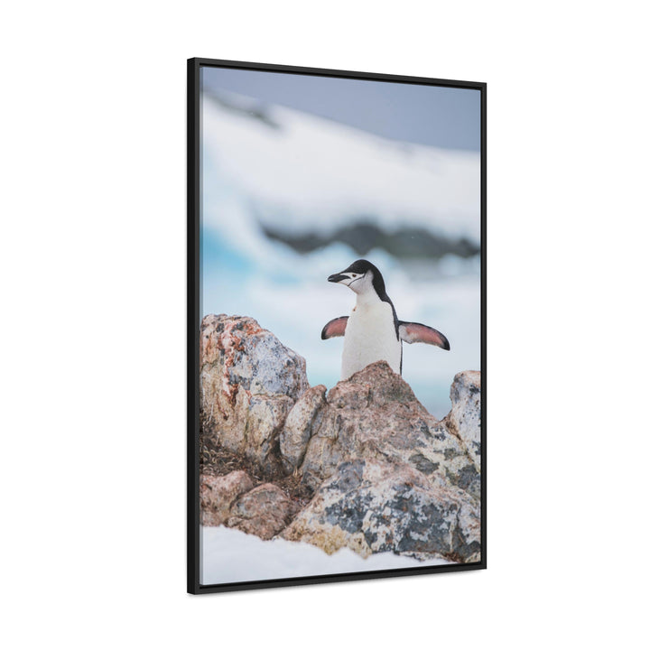 Stretched Penguin - Canvas with Frame