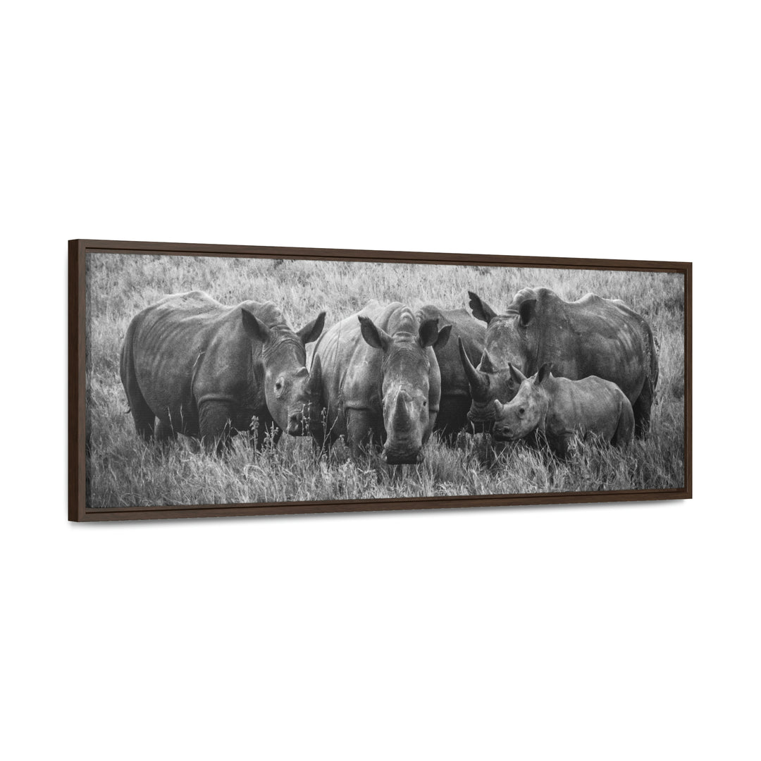 Rhino Family in Black and White - Canvas with Frame