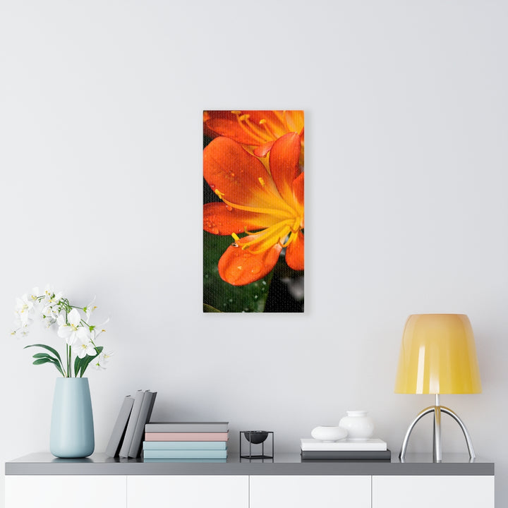 Bright Bush Lily - Canvas