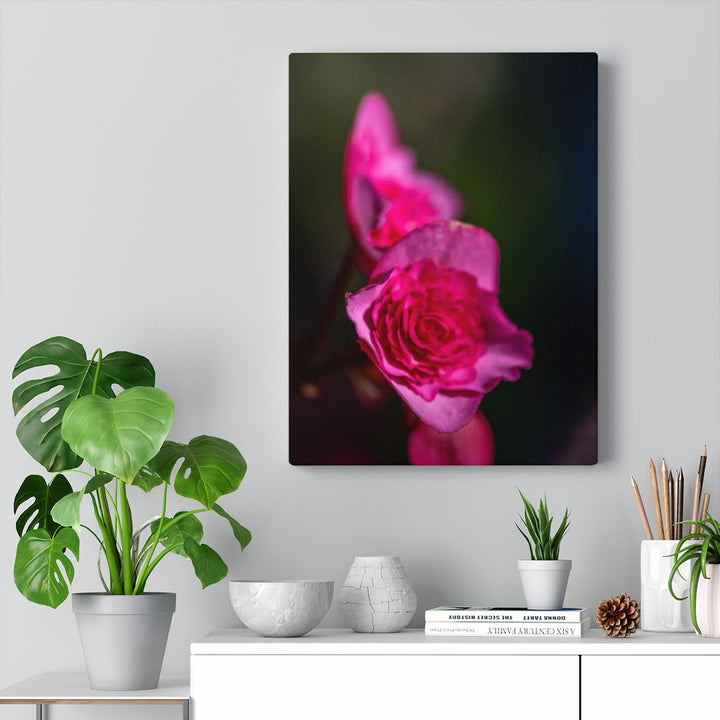 Hybrid Tea Lily - Canvas