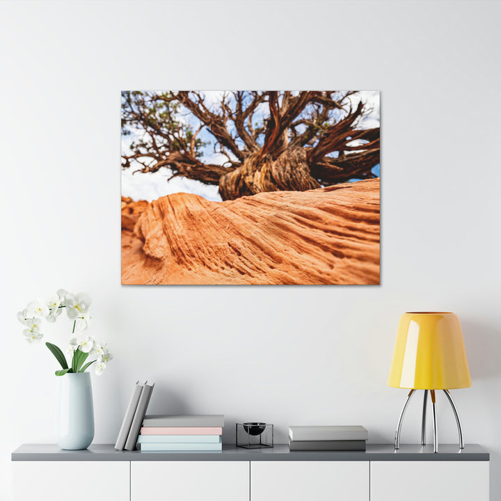 Desert Reach - Canvas