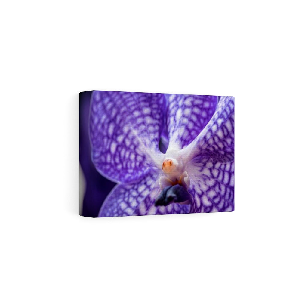 Orchid Detail - Canvas