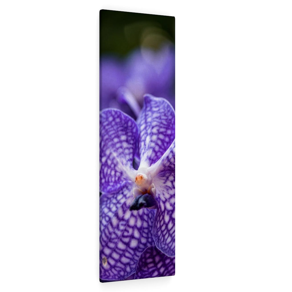 Orchid Detail - Canvas