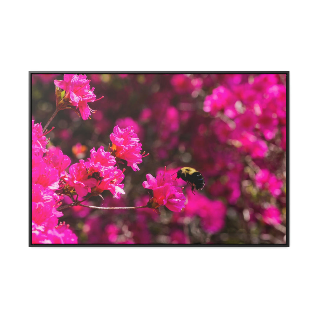 Hovering - Canvas with Frame