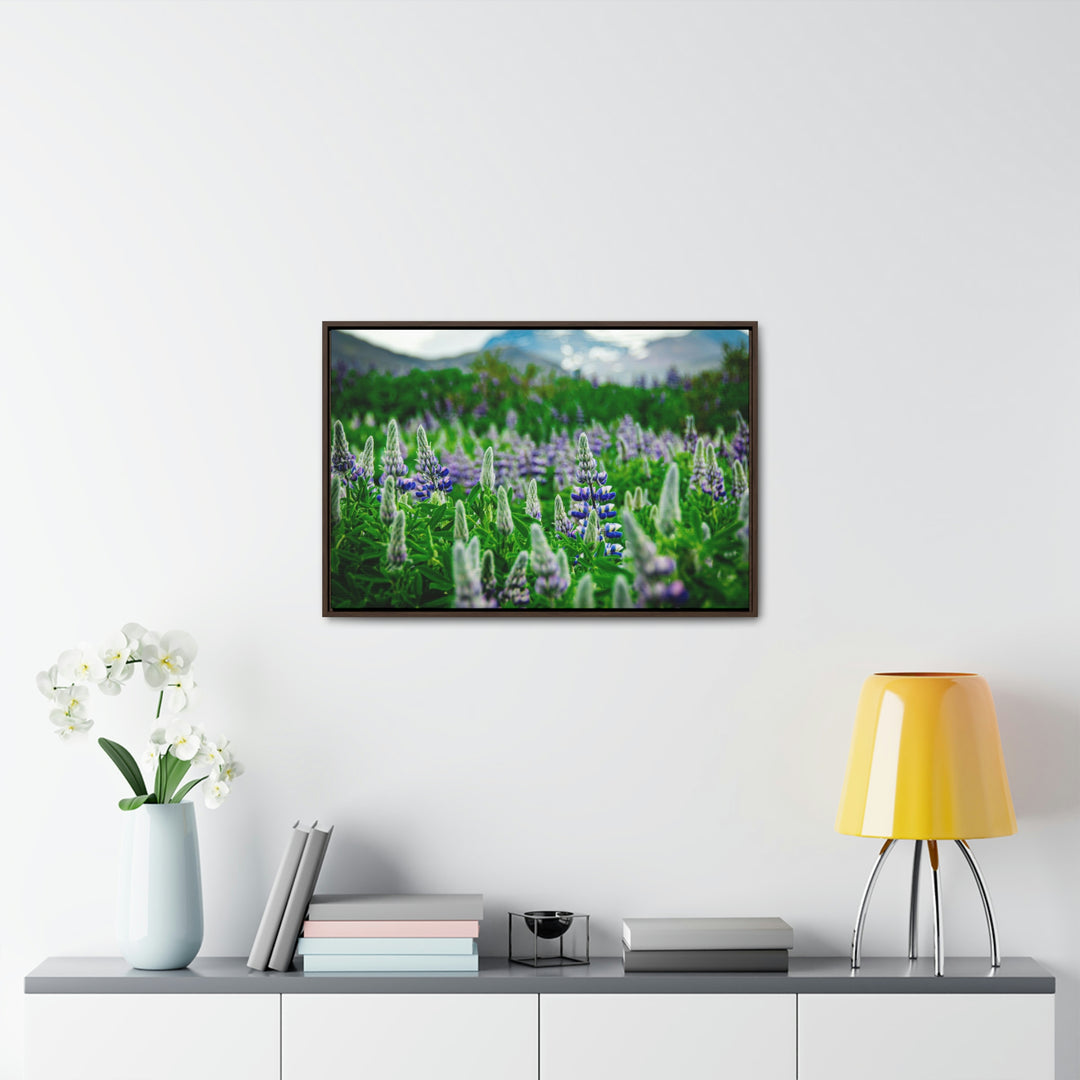 Glowing Lupin with Mountains - Canvas with Frame