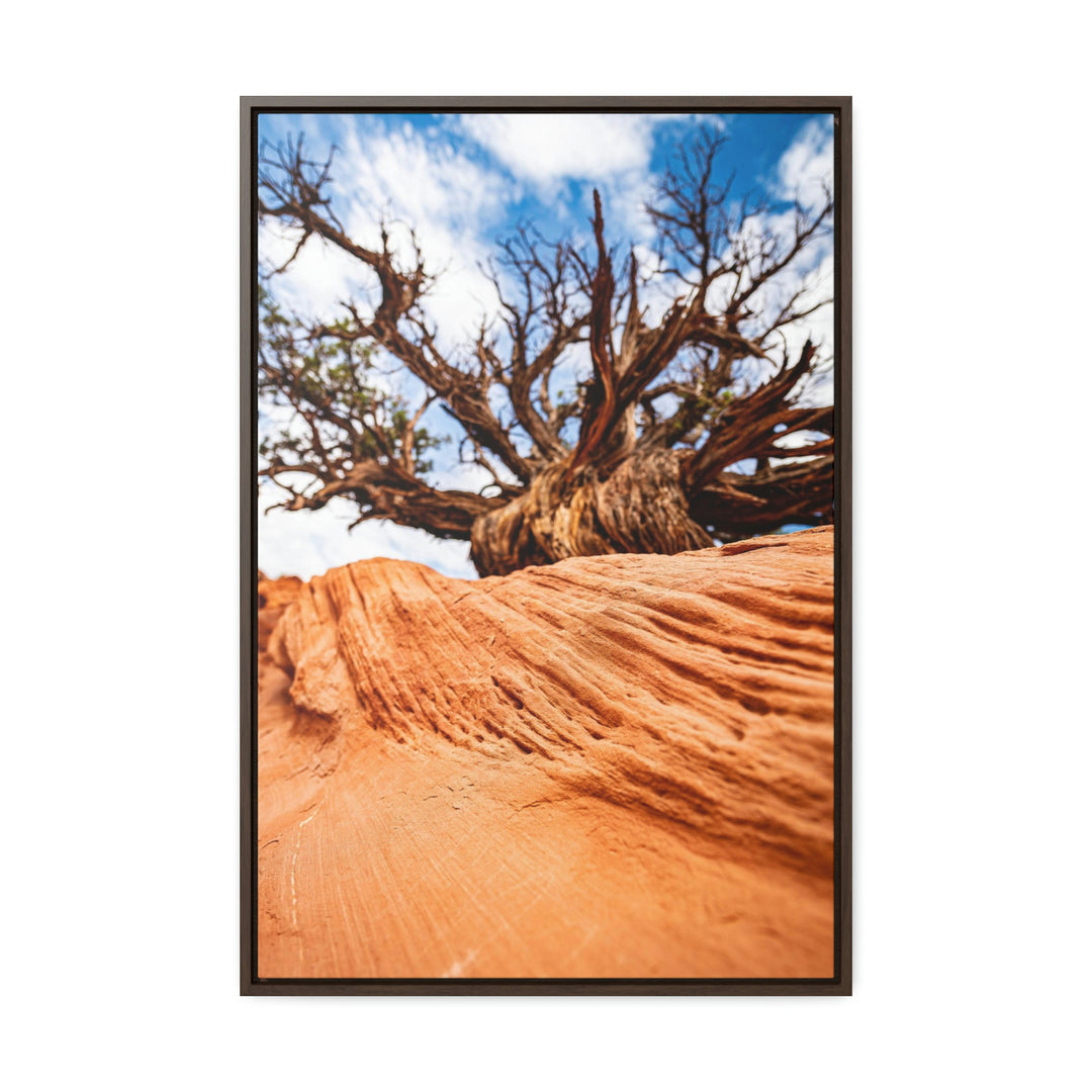 Desert Reach - Canvas with Frame