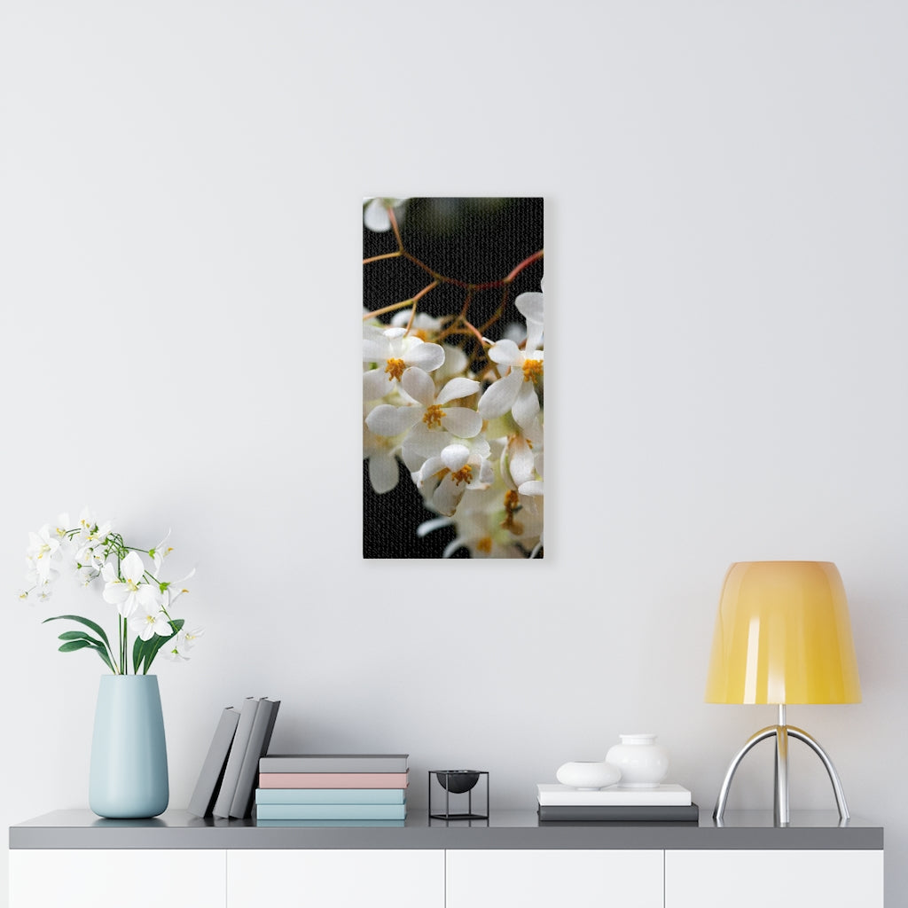 Floral Network - Canvas