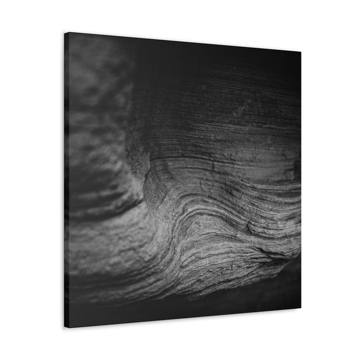 Sedimentary Rock Curves in Black and White - Canvas