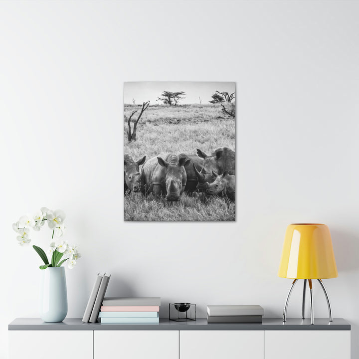 Rhino Family in Black and White - Canvas