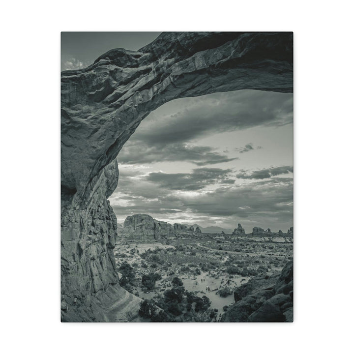 Natural Frames Part 2 in Black and White - Canvas