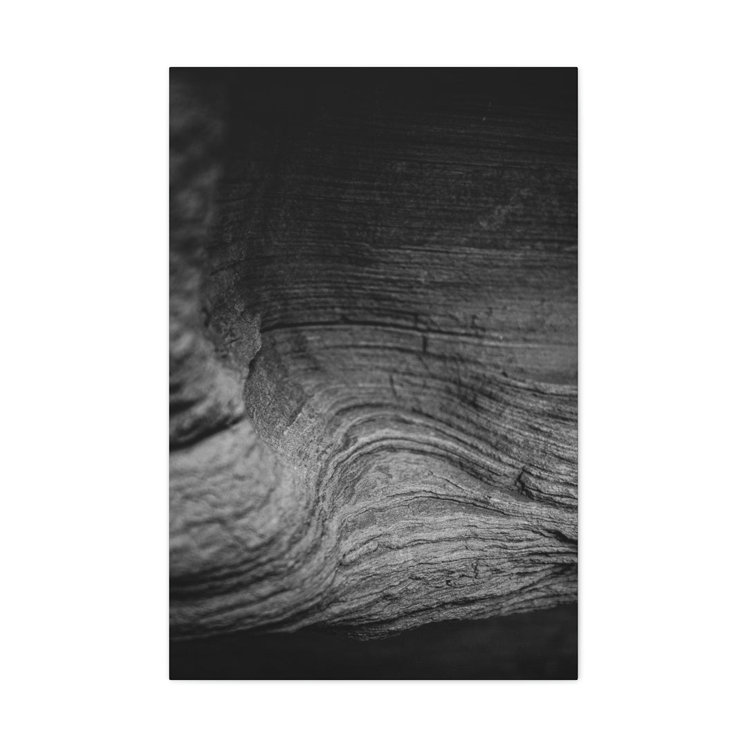 Sedimentary Rock Curves in Black and White - Canvas