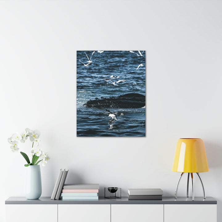 Humpback Hello - Canvas