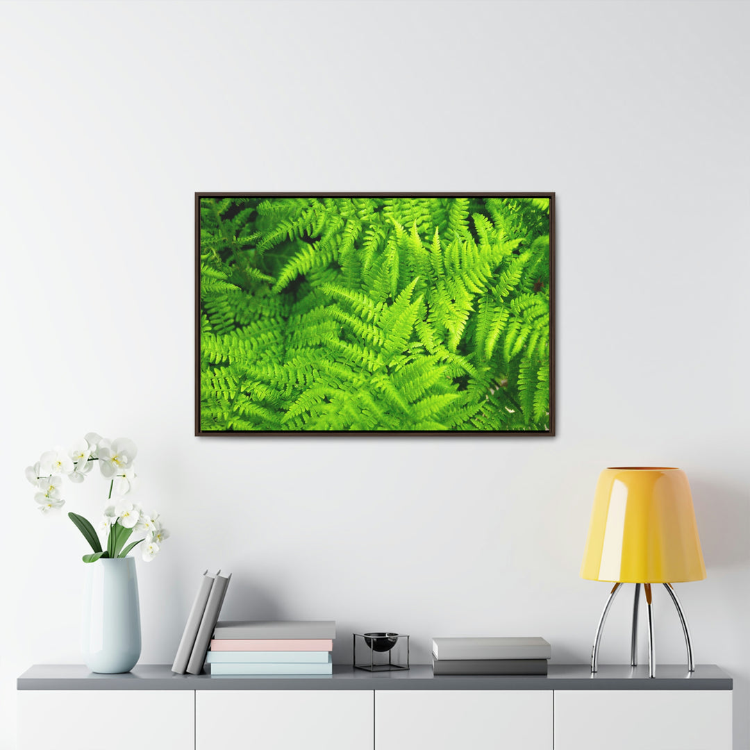 Ferns, Ferns, Ferns - Canvas with Frame