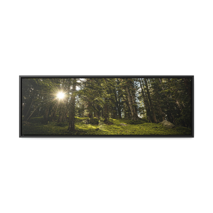 Forest Light - Canvas with Frame