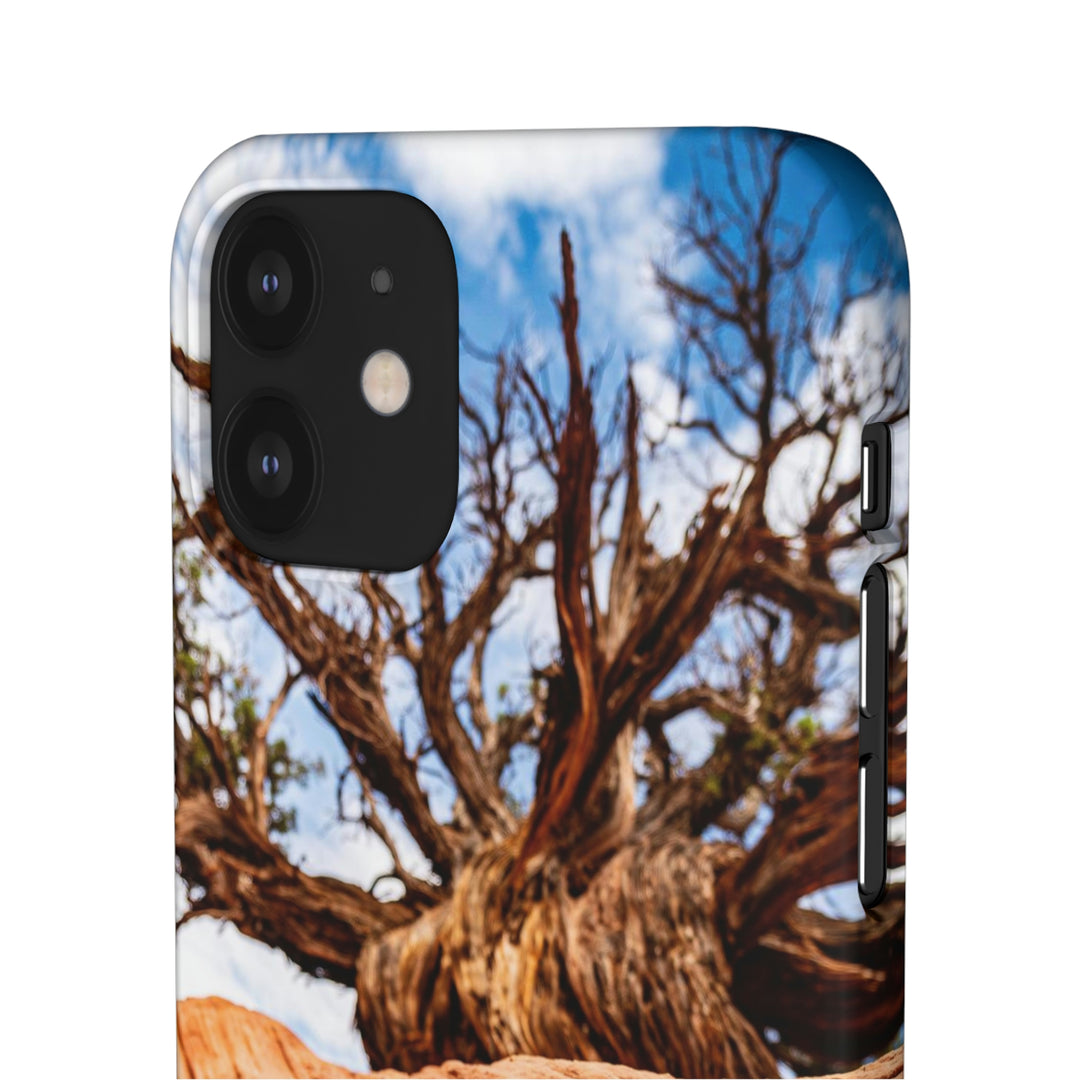 Desert Reach - Phone Case