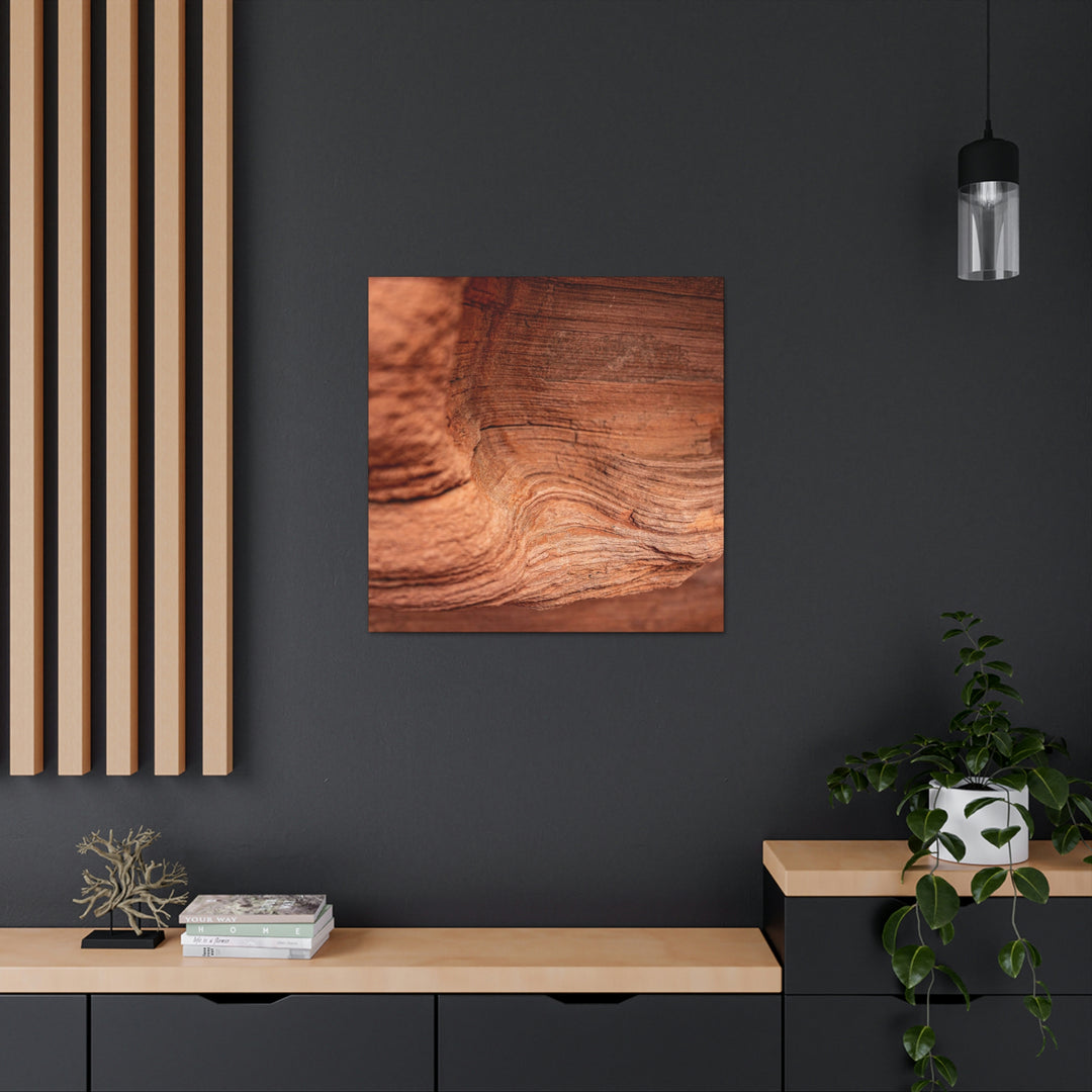 Sedimentary Rock Curves - Canvas