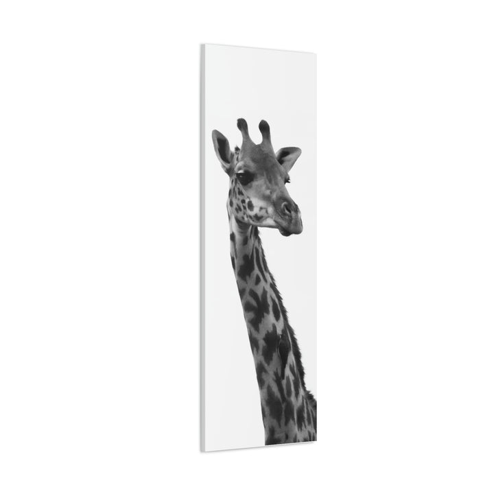 Giraffe Portrait in Black and White  - Canvas