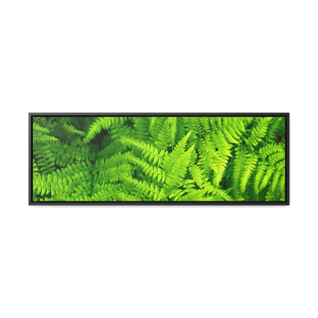 Ferns, Ferns, Ferns - Canvas with Frame