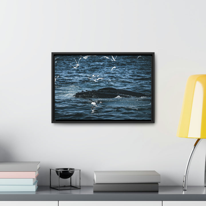 Humpback Hello - Canvas with Frame