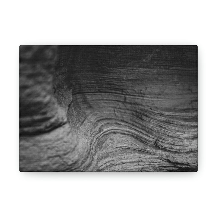 Sedimentary Rock Curves in Black and White - Canvas