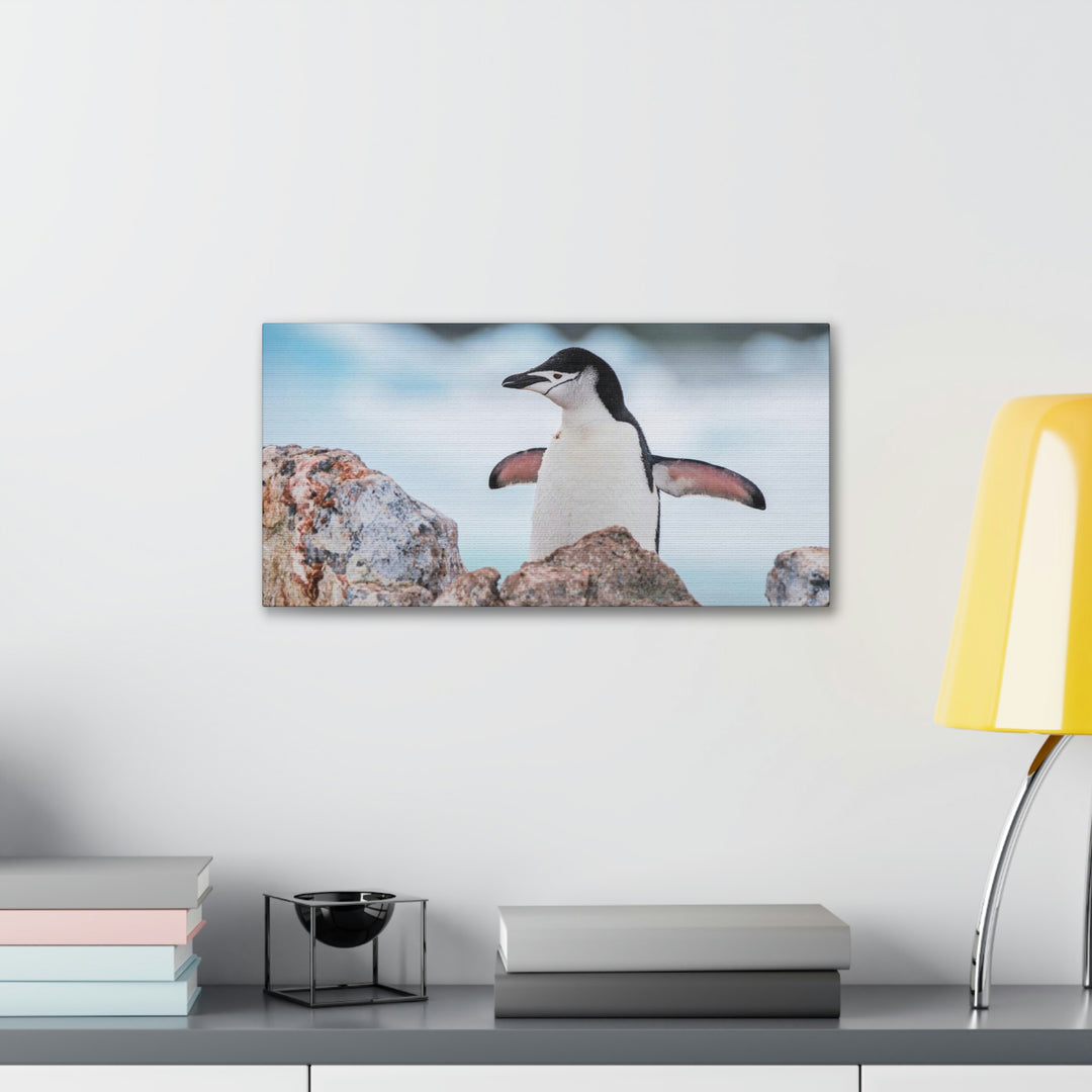 Stretched Penguin - Canvas