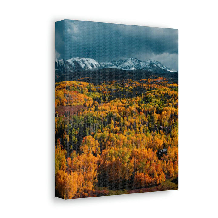 Golds of Autumn - Canvas