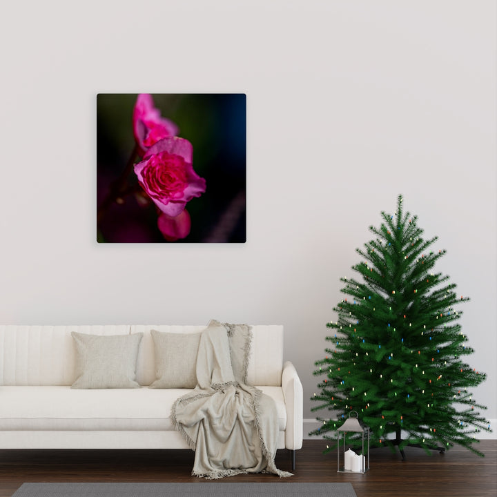 Hybrid Tea Lily - Canvas