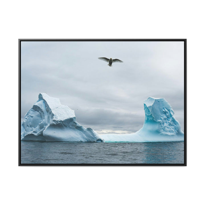 Antarctic Flight - Canvas with Frame