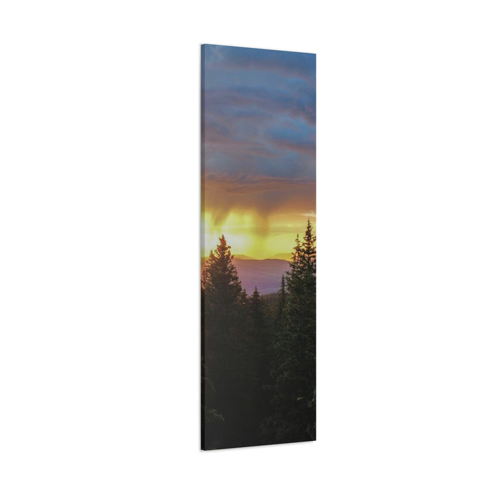 Rainy Sunset Through the Trees - Canvas