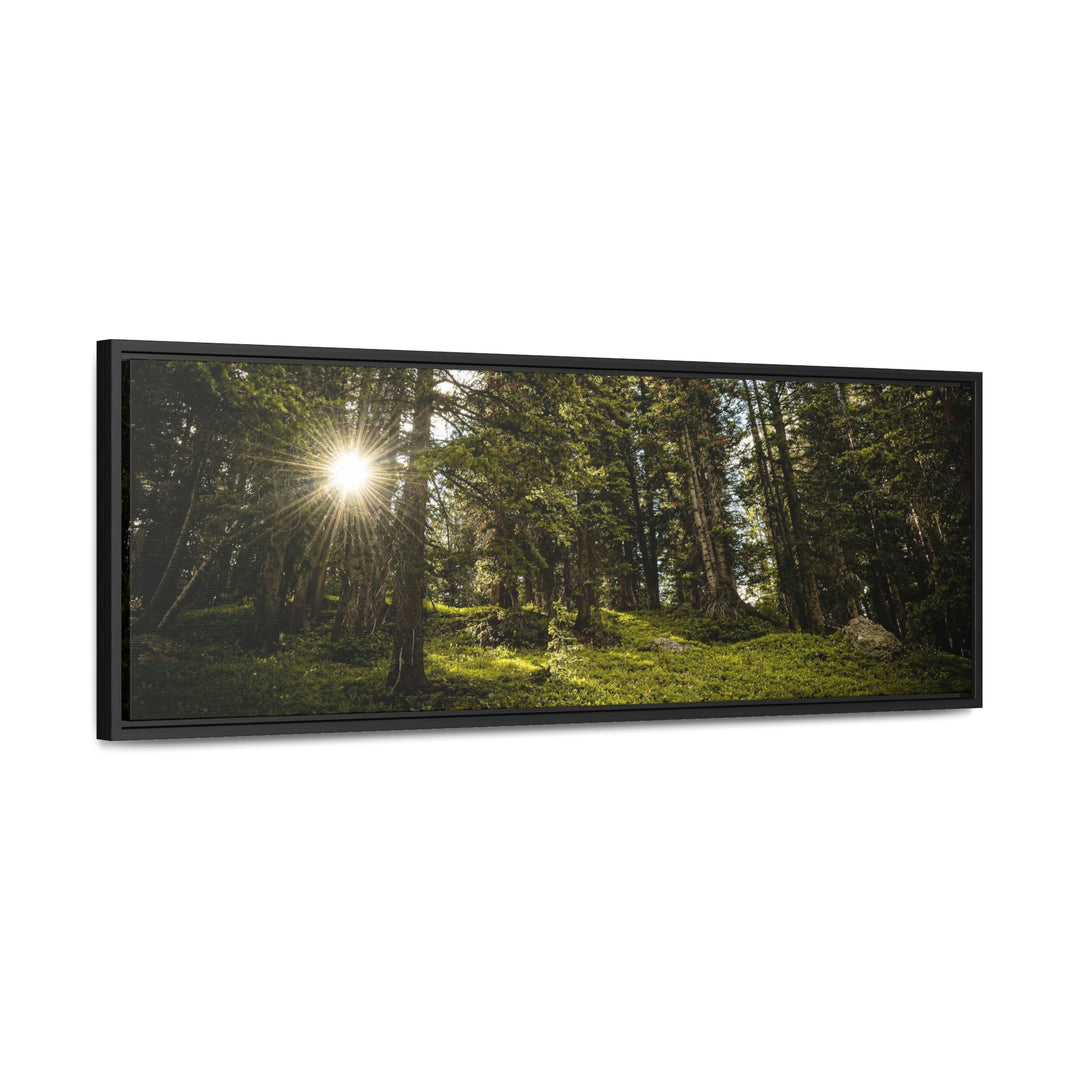 Forest Light - Canvas with Frame