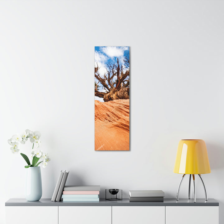 Desert Reach - Canvas