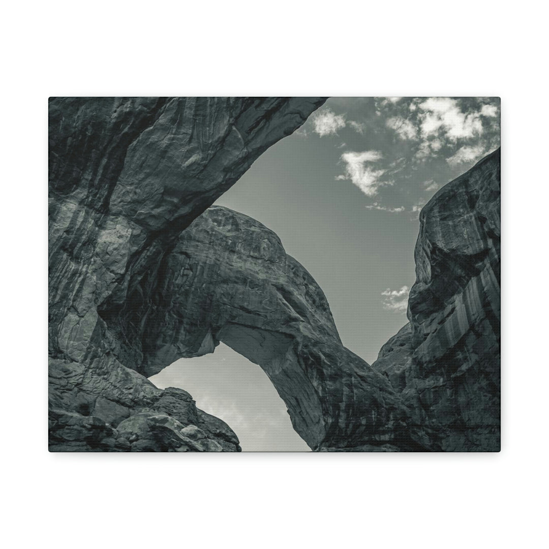 Natural Frames Part 4 in Black and White - Canvas