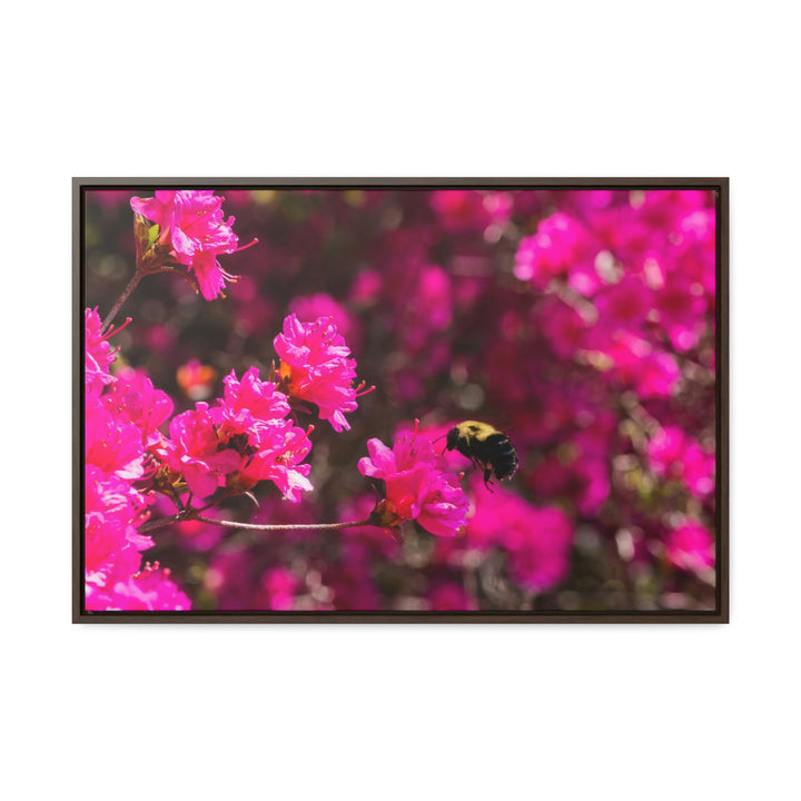 Hovering - Canvas with Frame