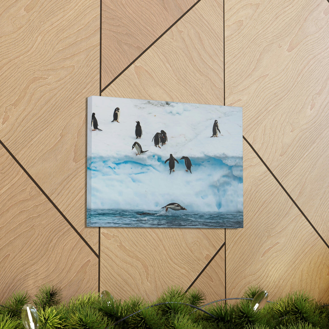 Porpoising Penguin - Canvas