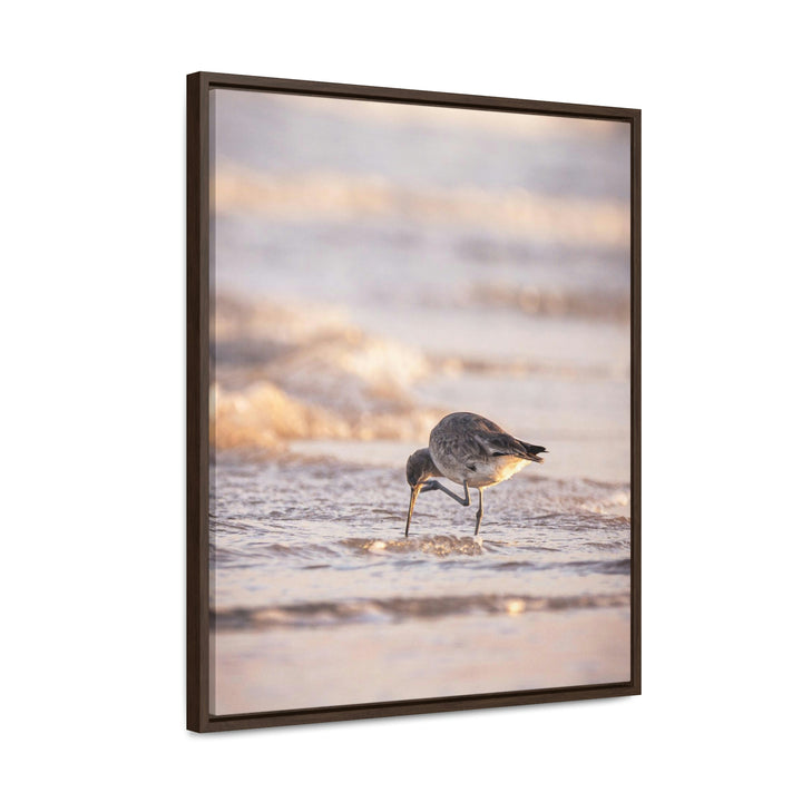 Willet Itch - Canvas with Frame