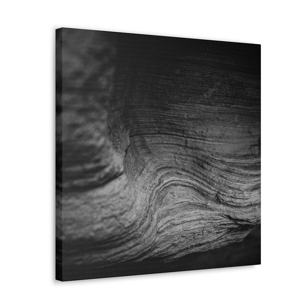 Sedimentary Rock Curves in Black and White - Canvas