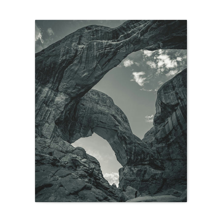 Natural Frames Part 4 in Black and White - Canvas