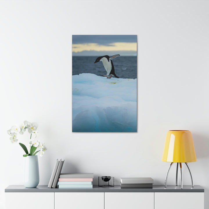 Penguin Dance - Canvas