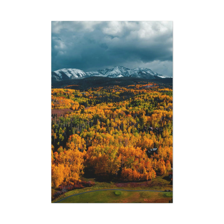 Golds of Autumn - Canvas