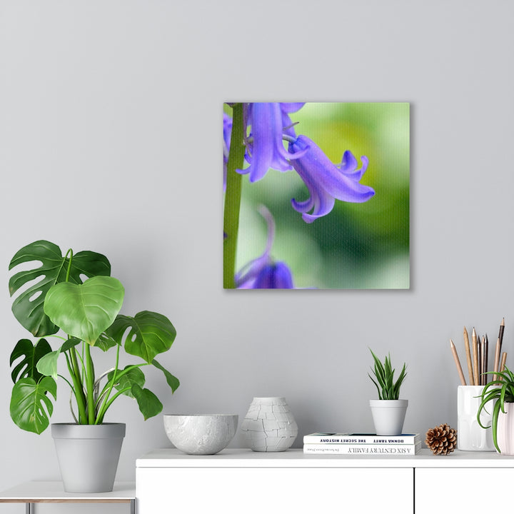 Delicate Bell - Canvas