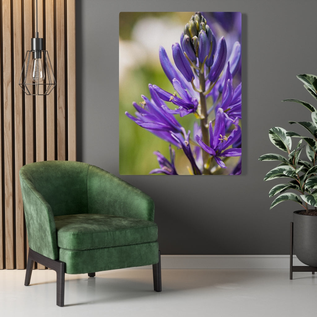 Camas in Bloom - Canvas