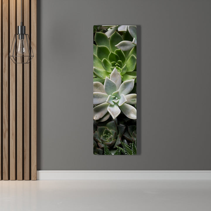 Succulent - Array - Canvas