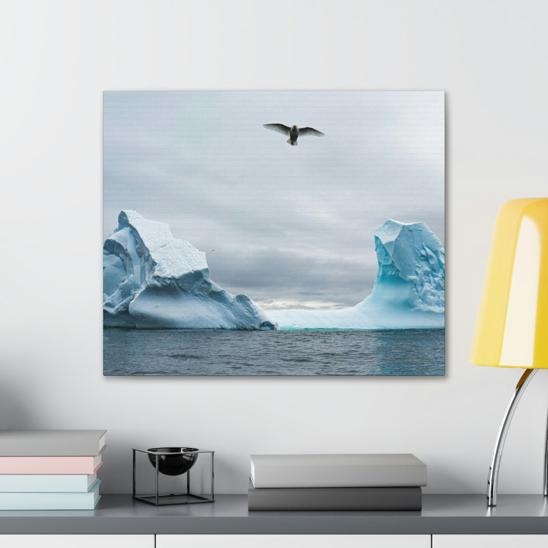 Antarctic Flight - Canvas