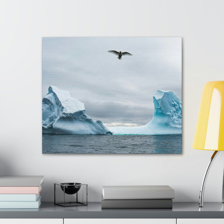 Antarctic Flight - Canvas